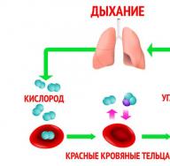 Где применяется углекислый газ