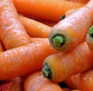 Надо ли обрезать морковную ботву: разбираемся, как не погубить урожай